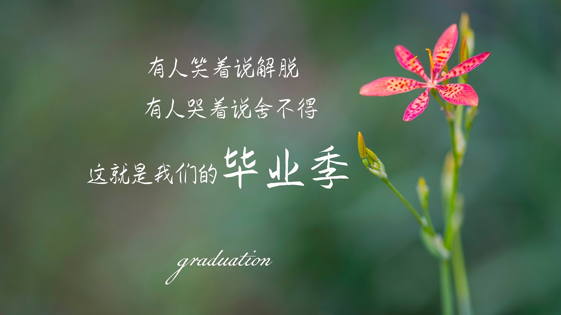 意甲青训结合空间导航训练强化球员局部压迫判断，意甲青训怎么算