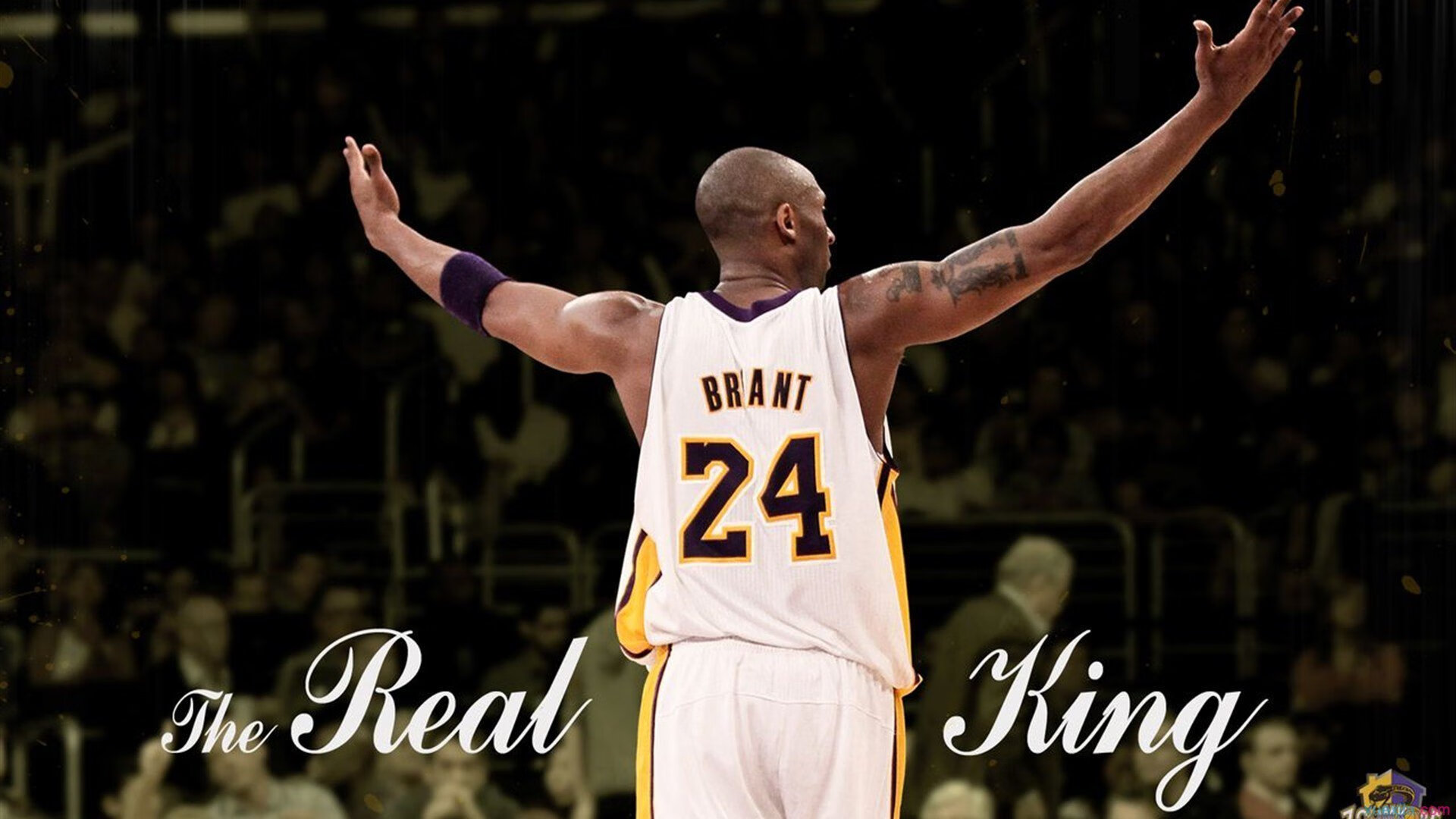 世界羽毛球系列赛持续火热,国手展现风采,世界羽毛球比赛